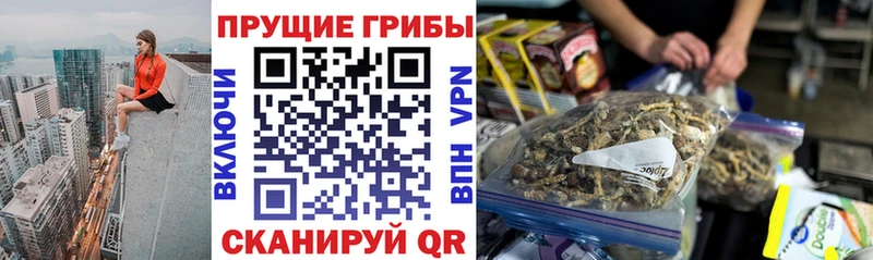 Псилоцибиновые грибы GOLDEN TEACHER  darknet Telegram  Ипатово 